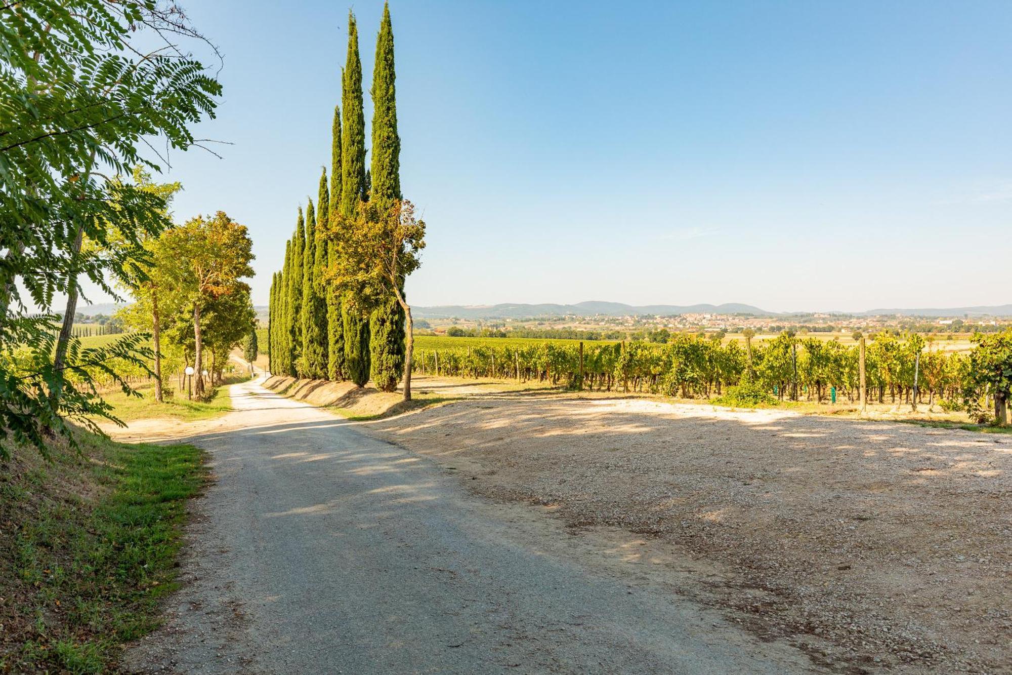 Vermentino Villa Montepulciano Stazione Екстериор снимка