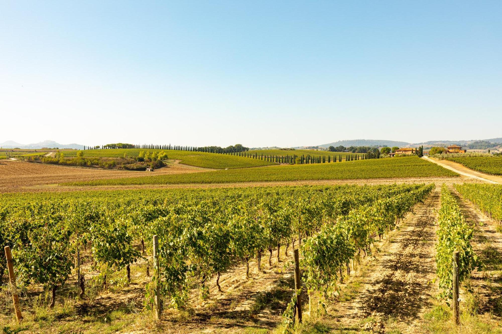 Vermentino Villa Montepulciano Stazione Екстериор снимка