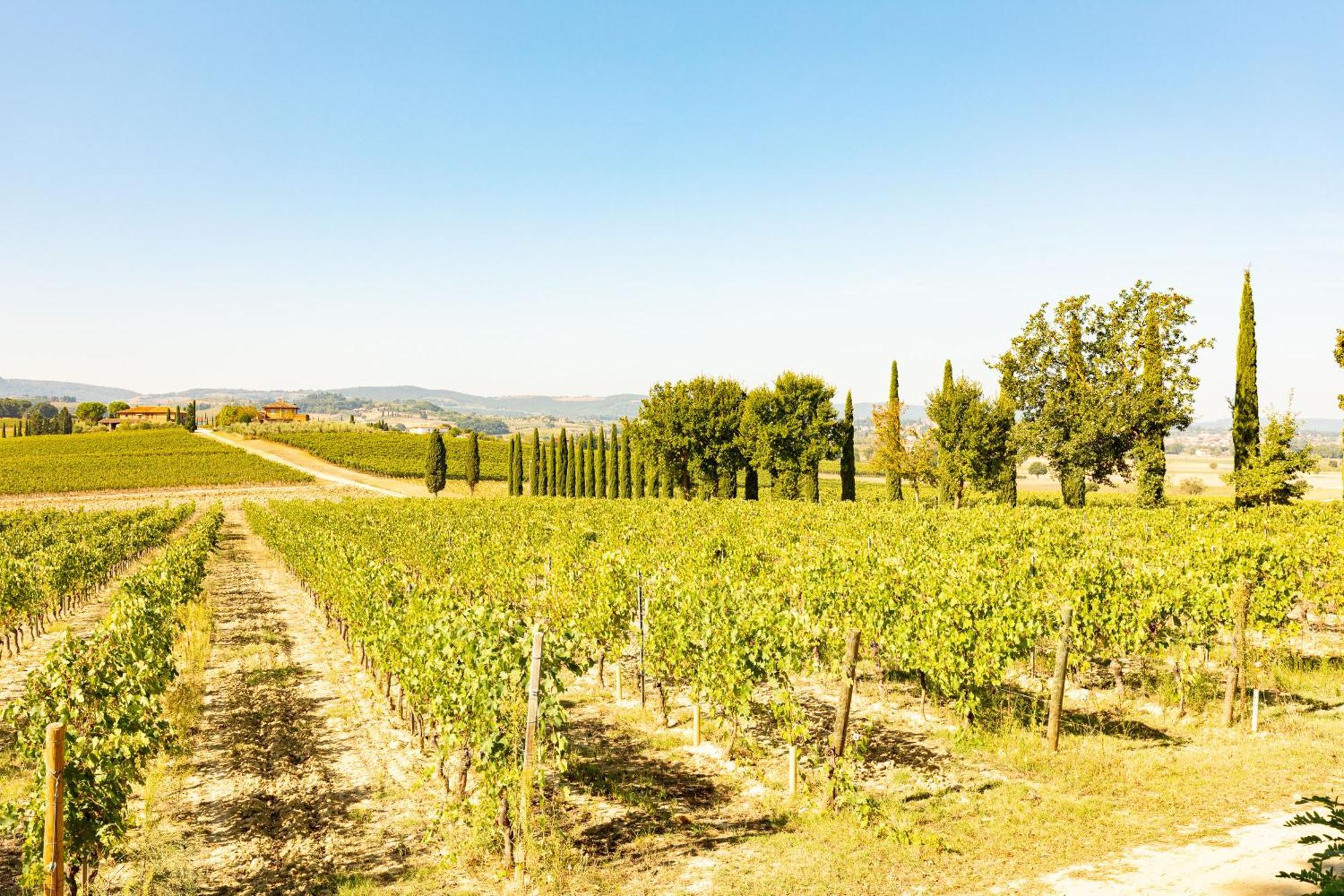 Vermentino Villa Montepulciano Stazione Екстериор снимка